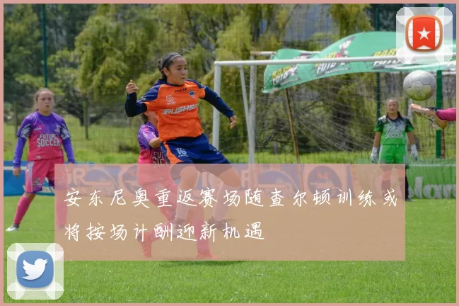 安东尼奥重返赛场随查尔顿训练或将按场计酬迎新机遇
