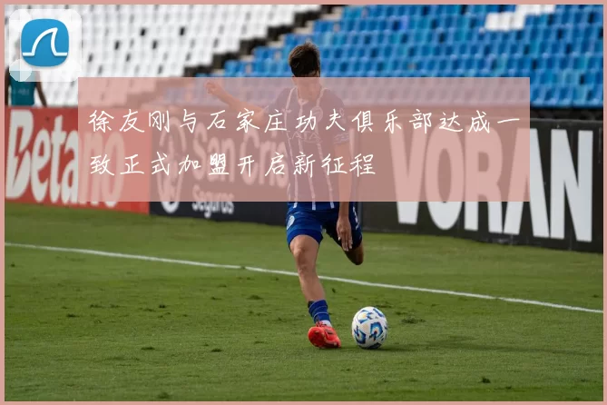徐友刚与石家庄功夫俱乐部达成一致正式加盟开启新征程